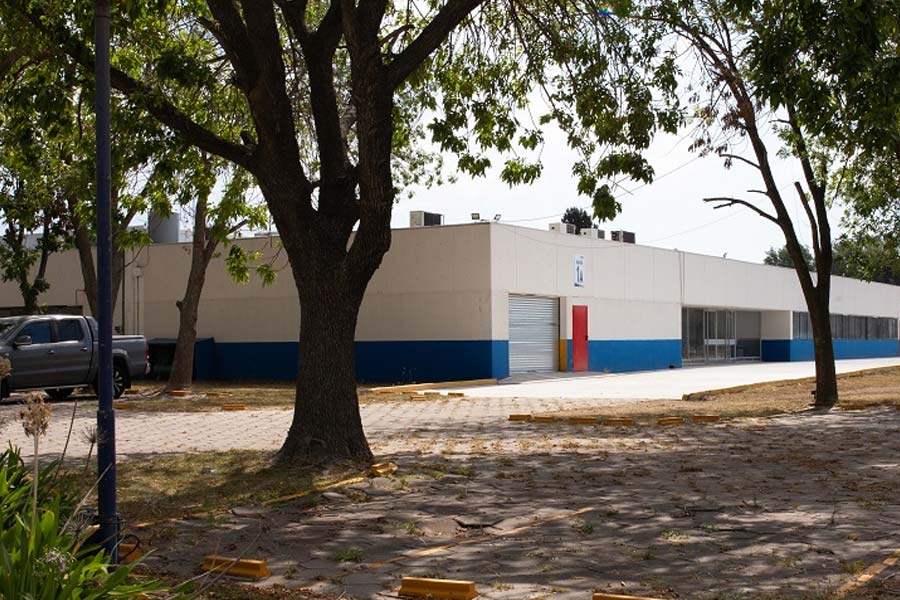 Bien plantados - Se juntaban a comer asado pero cambiaron y crearon hamburguesas cuadradas sin carne